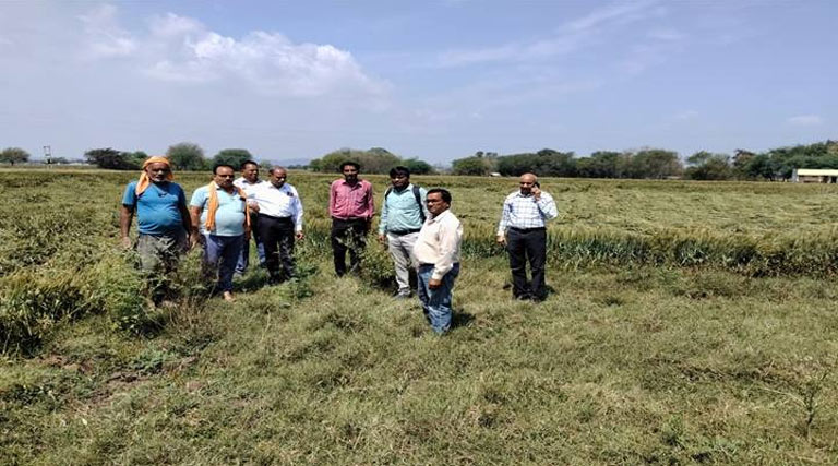 ग्वालियर-घाटीगांव-भितरवार में बारिश ओलावृष्टि; फसलों को नुकसान नहीं, प्रशासन ने गांवों में पहुंचकर किया निरीक्षण