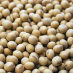 12 March Soyabean Rate: मध्य प्रदेश मंडियों में सोयाबीन ₹3830 से ₹5800 प्रति क्विंटल तक बिका, उज्जैन में सबसे ऊंचा भाव