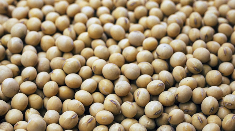 सोयाबीन मंडी रेट (09 मार्च 2026)