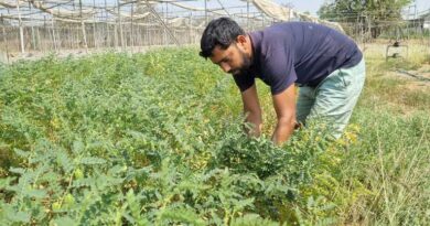 रायपुर: जैविक खेती और ड्रिप तकनीक से सफल बने युवा किसान रमेश प्रेमी, 5 एकड़ में कमा रहे अच्छा मुनाफा