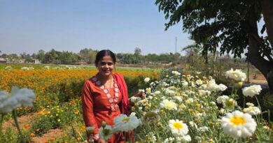 रायपुर: बिहान योजना से रत्ना बनीं आत्मनिर्भर, फूलों की खेती से बढ़ाई आय और बनीं मिसाल
