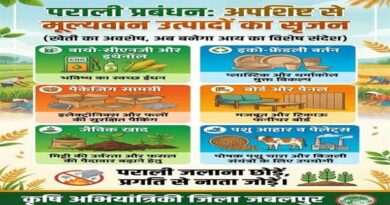 मध्यप्रदेश: पराली जलाना नुकसानदायक, कृषि विभाग ने फसल अवशेष क उपयोग और कमाई के तरीके किसानों को समझाए