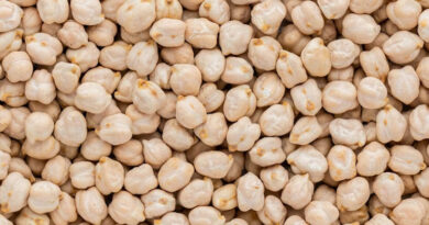 मध्य प्रदेश में आज 4,020 से 7,975 रुपये प्रति क्विंटल के भाव बिका कबुली चना, देखिए 9 मार्च के ताजा रेट