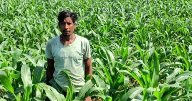 रायपुर के किसान मोहन बने उन्नत खेती की मिसाल, 2 एकड़ में मक्का से कमाए 88 हजार
