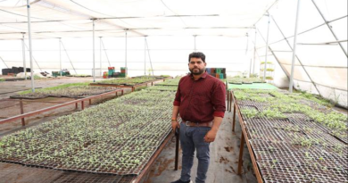 4000 स्क्वायर फीट से शुरू की पॉलीहाउस फार्मिंग, बदल गई किस्मत; आज प्रतिदिन हो रही 6–7 हजार की कमाई