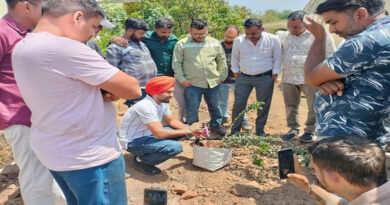 धार में ब्लूबेरी खेती को बढ़ावा: अमेरिकी और हिमाचल वैज्ञानिकों ने किसानों को प्रशिक्षण दिया, क्लस्टर मॉडल पर जोर