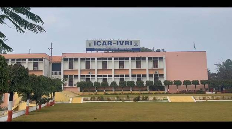 QS World Ranking 2026: IARI टॉप-200, IVRI टॉप-100 में शामिल, भारतीय कृषि शिक्षा ने विश्व में नाम रोशन किया