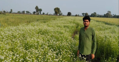 मध्यप्रदेश: परंपरागत फसलों से हटकर दमोह के किसान ने अपनाई कलौंजी की खेती, बनी कमाई का बड़ा जरिया