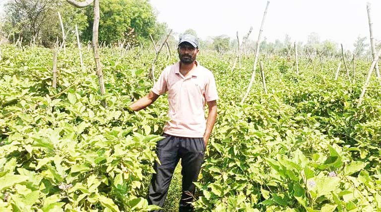 रायपुर: कोण्डागांव में डिजिटल किसान किताब वितरित, भूमि और ऋण की जानकारी अब किसानों को मिलेगी ऑनलाइन