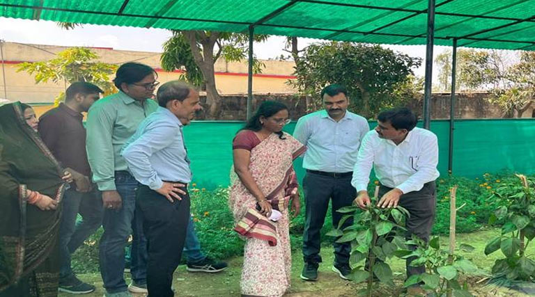 पन्ना में जिला स्तरीय किसान मेला: 586 किसानों ने लिया हिस्सा, मिलेट्स-तिलहन खेती की मिली जानकारी