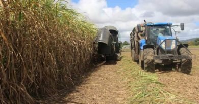 भारत में एथेनॉल मिश्रण ~20% के करीब, कच्चे तेल के आयात में ₹1.36 लाख करोड़ की बचत: आईएसएमए 