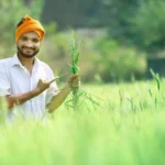 किसान कल्याण वर्ष 2026: सीहोर में रबी सीजन में किसानों को समय पर बीज-उर्वरक उपलब्ध कराने की व्यवस्था मजबूत  