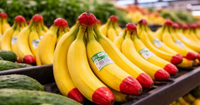 विदेशी बाजारों में केले पर लाल निशान क्या दर्शाता है? 