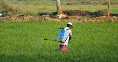 भारत ने नैनो उर्वरकों को नियामकीय दायरे में शामिल किया, एफसीओ के तहत 14 उत्पाद अधिसूचित भारत ने नैनो उर्वरकों को नियामकीय दायरे में शामिल किया, एफसीओ के तहत 14 उत्पाद अधिसूचित