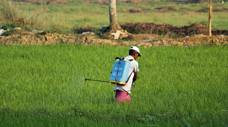भारत ने नैनो उर्वरकों को नियामकीय दायरे में शामिल किया, एफसीओ के तहत 14 उत्पाद अधिसूचित