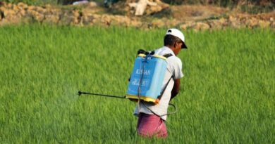 कीटनाशक प्रबंधन विधेयक 2025: क्या नकली कीटनाशक बिक्री रुकेगी?