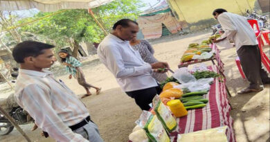 बुरहानपुर के प्राकृतिक हाट बाजार में हुई सुरक्षित उत्पादों की बिक्री