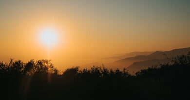 मध्यप्रदेश में भीषण गर्मी की दस्तक, विदिशा में 43.5°C पहुंचा पारा; कई जिलों में लू की चेतावनी