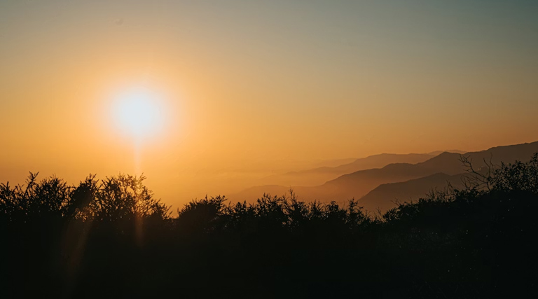 मध्यप्रदेश में भीषण गर्मी की दस्तक, विदिशा में 43.5°C पहुंचा पारा; कई जिलों में लू की चेतावनी