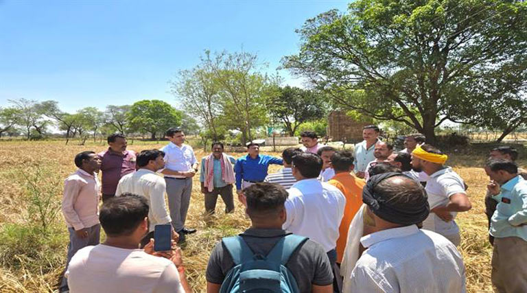 ओलावृष्टि से फसलों को नुकसान: कलेक्टर ने प्रभावित गांवों का किया पैदल निरीक्षण