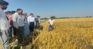 दतिया: ओलावृष्टि से प्रभावित किसानों के बीच पहुँचा प्रशासन