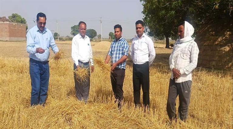 ग्वालियर: खेतों में नरवाई न जलाने के लिए चलाया जा रहा विशेष जन-जागरण अभियान