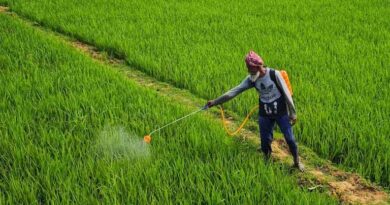 खातेगांव में नकली कीटनाशक का भंडाफोड़, तीन आरोपी गिरफ्तार, 50 लीटर कीटनाशक जब्त  