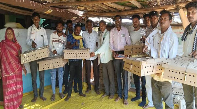 हरदा: मुर्गी पालकों ने खुद के खर्च पर शुरू किया सोनाली ब्रीड चूजों का पालन