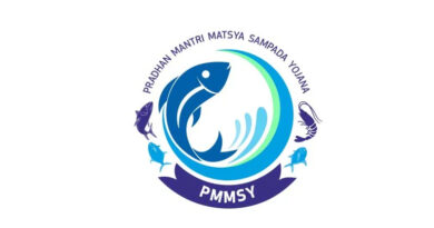 PMMSY से सीहोर की महिला किसान बनी उद्यमी, आज कर रही 5 करोड़ का फिश फीड बिजनेस; 14 लोगों को रोजगार भी दिया