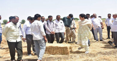 अलसी के डंठल से रेशम निर्माण की प्रोसेसिंग शुरू करें - कलेक्टर मंदसौर