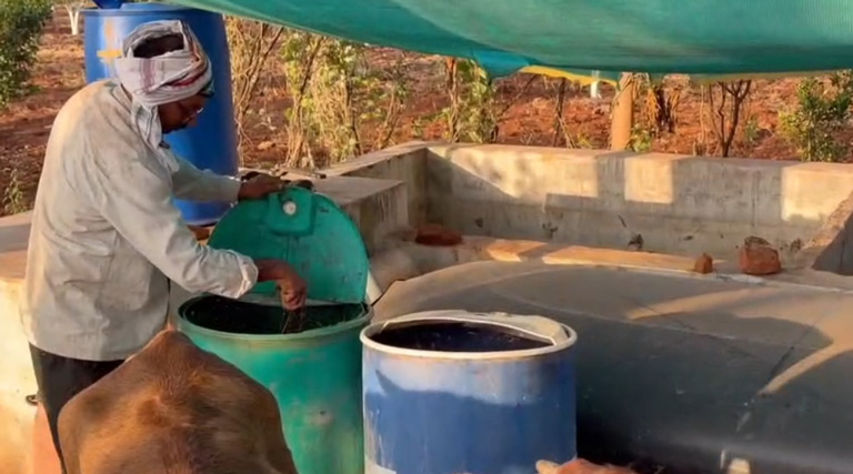 पांढुर्ना के नरेंद्र ठाकरे राज्य स्तरीय सर्वोत्तम कृषक पुरस्कार से सम्मानित