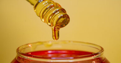 प्राकृतिक शहद आयात पर सरकार का बड़ा फैसला, दिसंबर 2026 तक बढ़ाया गया MIP