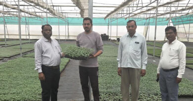 सोनमऊ के संजय ने आधुनिक तकनीकों को अपनाकर बढ़ाई अपनी आय