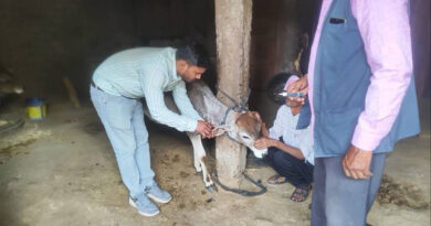 पशुओं को खुरपक-मुंहपका रोग से बचाने के लिए किया टीकाकरण