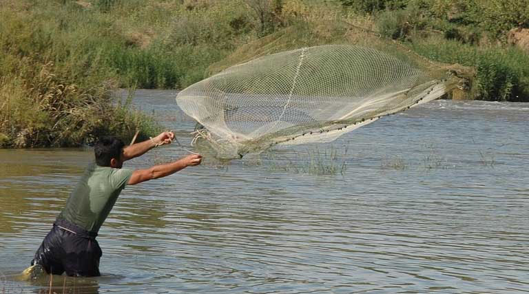 मध्यप्रदेश एकीकृत मत्स्य नीति 2026: हैचरी, आईस प्लांट और स्मार्ट फिश पार्लर पर मिलेगी 60% तक सब्सिडी, तुरंत करें आवेदन  