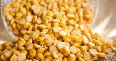 ऑल इंडिया दाल मिल एसोसिएशन ने मुख्यमंत्री डॉ यादव से की मुलाकात