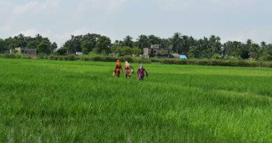 श्री सिंह रतलाम श्री मंडलोई नीमच डीडीए बने