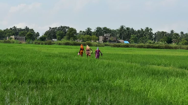 श्री सिंह रतलाम श्री मंडलोई नीमच डीडीए बने
