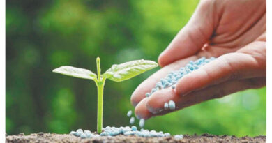 ई-विकास प्रणाली: किसानों को आसानी से उर्वरक उपलब्ध कराने की डिजिटल कोशिश