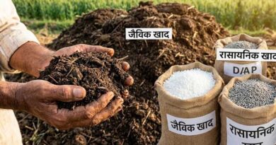 किसानों को खाद की सतत आपूर्ति के लिए 41000 करोड़ जारी