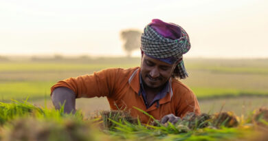 रबी में नुकसान और कमजोर मानसून अनुमान के बीच क्रॉपलाइफ इंडिया ने जारी की ज़ायद फसल सलाह