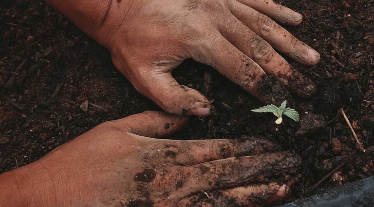 अन्नदाताओं को उरर्वकों पर सब्सिडी के लिए केंद्र सरकार ने दी 41 हजार करोड़ से अधिक की स्वीकृति