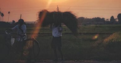 रतलाम में सहकारी क्षेत्र में डिजिटल क्रांति – सहकारी संस्थाएं हुई कम्प्यूटराईज्ड रतलाम में सहकारी क्षेत्र में डिजिटल क्रांति - सहकारी संस्थाएं हुई कम्प्यूटराईज्ड