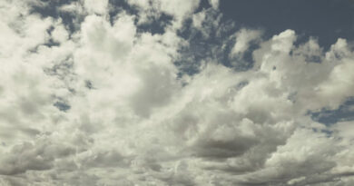 Weather Update: पूर्वोत्तर और पूर्वी भारत में अगले 5 दिनों तक बारिश और तेज हवाओं की संभावना, IMD ने जारी किया अलर्ट