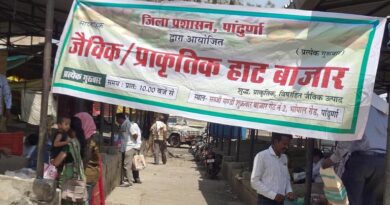 पांढुर्ना में हर गुरुवार सज रहा जैविक हाट बाजार