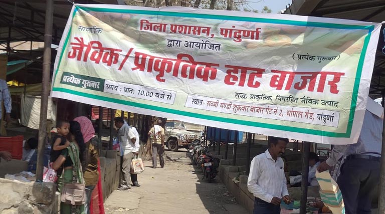 पांढुर्ना में हर गुरुवार सज रहा जैविक हाट बाजार