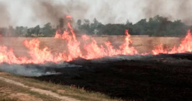 मऊगंज: किसानों को नरवाई न जलाने की सलाह दी गई