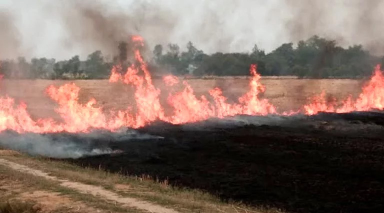 मऊगंज: किसानों को नरवाई न जलाने की सलाह दी गई