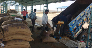 मध्यप्रदेश में समर्थन मूल्य पर गेहूं खरीदी का आगाज, पहले दिन हुआ 1616 क्विंटल उपार्जन  