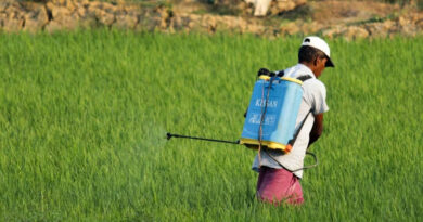 छिंदवाड़ा में 9 उर्वरक विक्रेताओं के लाइसेंस निलंबित